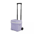 Igloos Cooler Hard-Sided Ice Chest, Insulated Portable Cooler, Heavy-Duty, Leak-Resistant Lid, Lightweight Ergonomic Handle (Lil