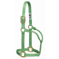 Weaver Original Nylon Halter L Pistachio Green