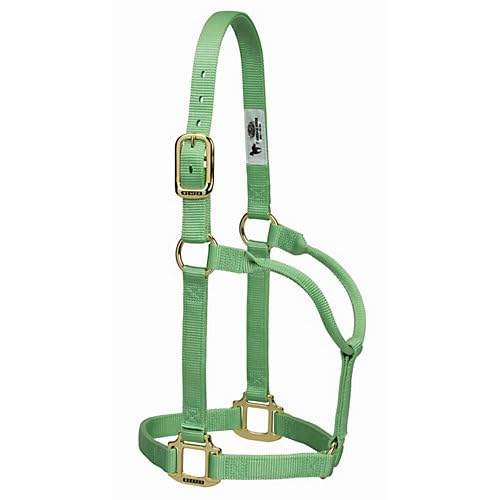 Weaver Original Nylon Halter L Pistachio Green