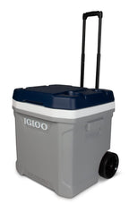 8034638 Maxcold Cooler Gry 60Qrt Igloo Maxcold Gray 60 Qt Cooler (Pack Of 1)