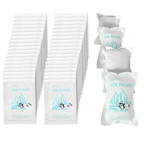 World-Bio Dry Ice For Shipping Frozen Food & Travel, Long Lasting Cold Packs For Cooler 96 Packs 4.7'' X 3.3'', Small Freezer Pa