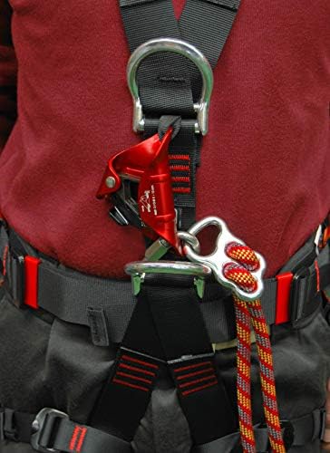 Kong Chest Ascender, Assorted Colors