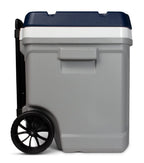 8034638 Maxcold Cooler Gry 60Qrt Igloo Maxcold Gray 60 Qt Cooler (Pack Of 1)