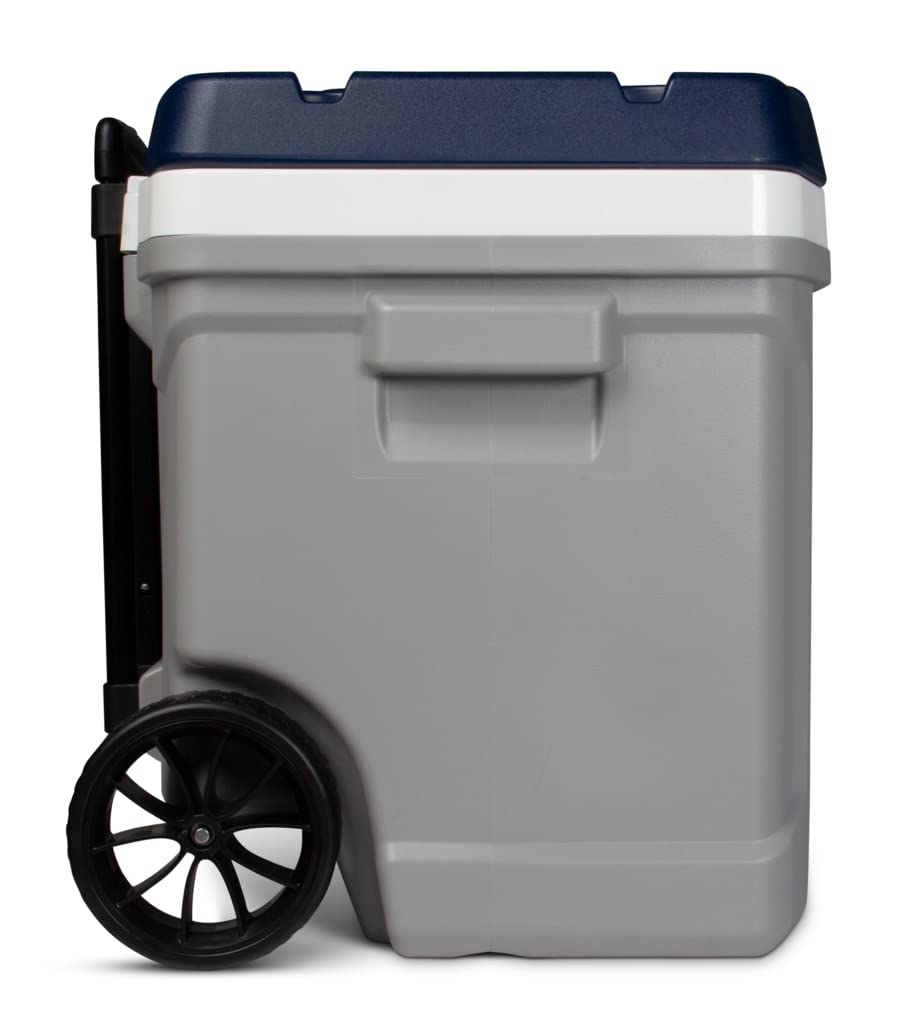 8034638 Maxcold Cooler Gry 60Qrt Igloo Maxcold Gray 60 Qt Cooler (Pack Of 1)