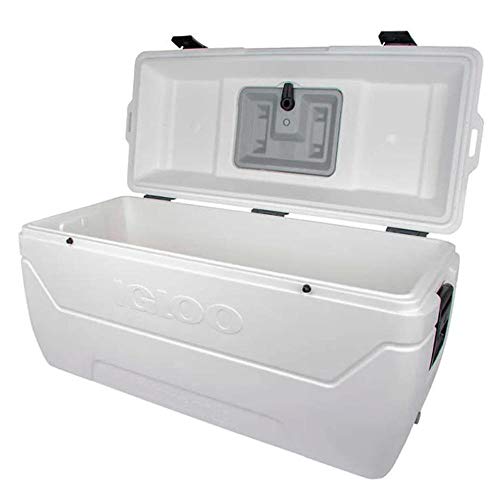 Marine Chest Cooler,165.0 Qt. Cap.