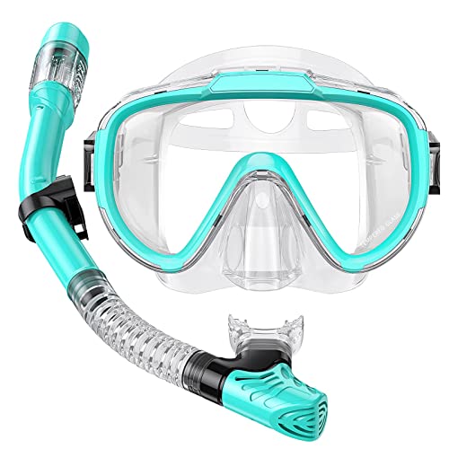 Seovediary Snorkel Set Adults Snorkeling Gear Anti-Fog Panoramic View Swim Mask Dry Top Snorkel Kit With Carry Bag For Snorkelin