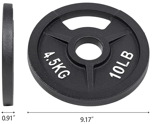 Fitvids Olympic Cast Iron 2-Inch Weight Plate for Strength Training & Weightlifting, 10 LB Set of 4