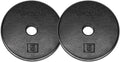 Yes4All 1-Inch Cast Iron Weight Plates For Dumbbells - Standard Weight Disc Plates (5 Lbs, Set Of 2)