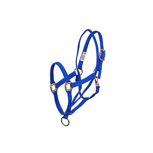 Aime Imports Basic Pull Back Training Halter Blue