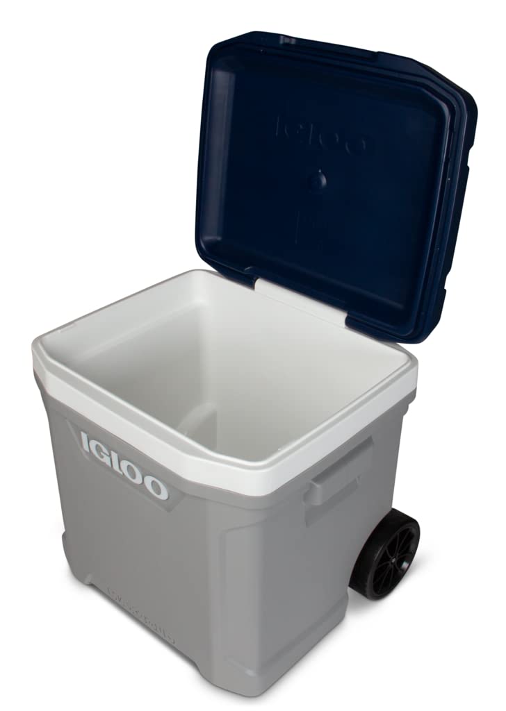 8034638 Maxcold Cooler Gry 60Qrt Igloo Maxcold Gray 60 Qt Cooler (Pack Of 1)