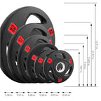 Fitvids Olympic Cast Iron 2-Inch Weight Plate for Strength Training & Weightlifting, Rubber Coate Style, 10lbs (Set of 4)