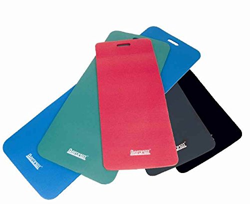 Aeromat Elite Workout Mat, W/Handle, 1/2''X20''X48'', Red