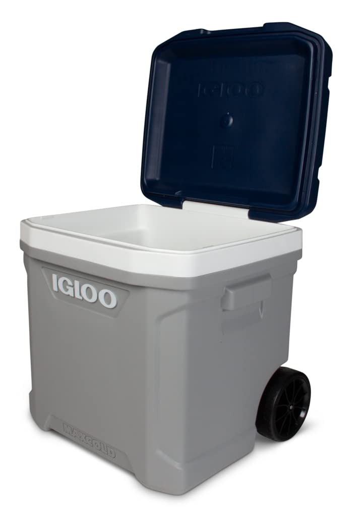8034638 Maxcold Cooler Gry 60Qrt Igloo Maxcold Gray 60 Qt Cooler (Pack Of 1)