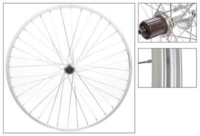 Wheel Master Rear Bicycle Wheel 24 X 2.125 36H, Coaster, Bolt On, Silver