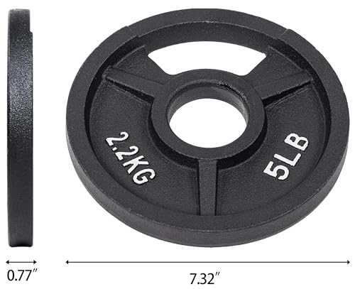 Fitvids Olympic Cast Iron 2-Inch Weight Plate for Strength Training & Weightlifting, 5LB Set of 4
