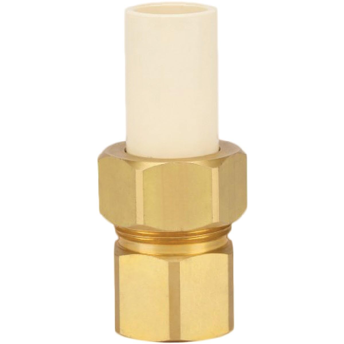 Transition Fttng 1/2''Fpt(Pack Of 1)