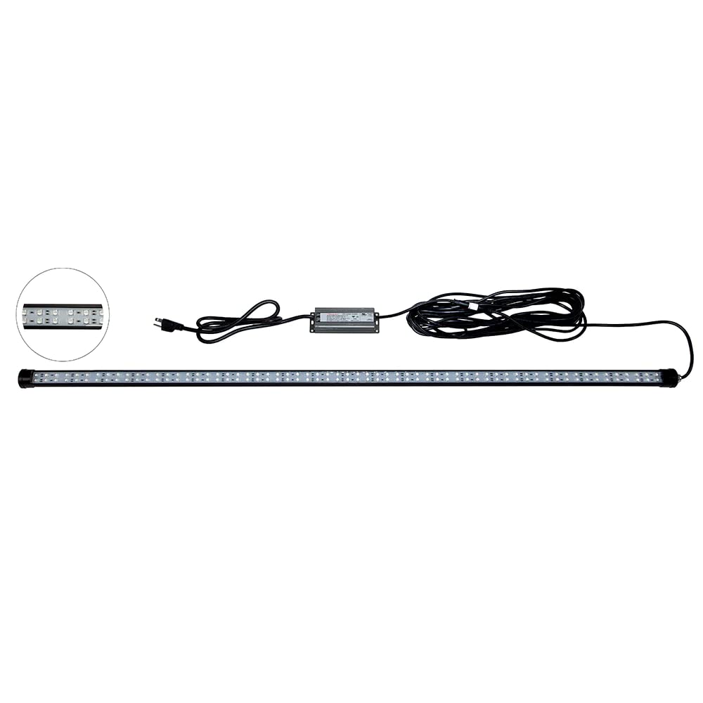 Hydro Glow Dm260B 40W/120Vac Dock Mounted Fishing Light - Blue