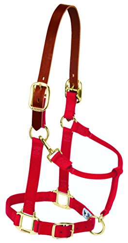 Weaver Leather Nylon Adjustable Breakaway Horse Halter, Large, Red