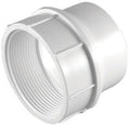Adapter Pvc Dwv 3'' Fpt (Pack Of 1)