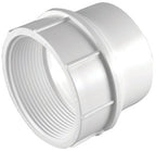 Adapter Pvc Dwv 3'' Fpt (Pack Of 1)