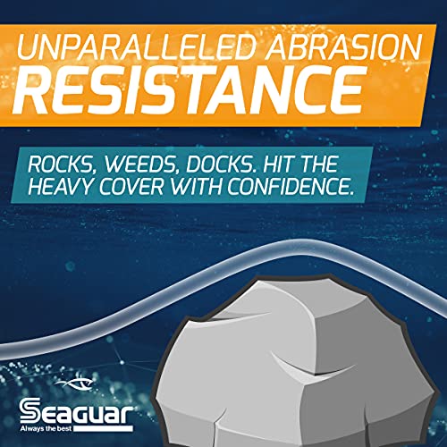 Seaguar Abrazx 100% Fluorocarbon Fishing Line 10Lbs, 200Yds Break Strength/Length - 10Ax200