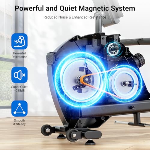 Dripex Rowing Machines for Home Use, Rowing Machine Magnetic Rower, 16 Levels of Workout Resistance, Max 350 LBS, Dual Slide Rai