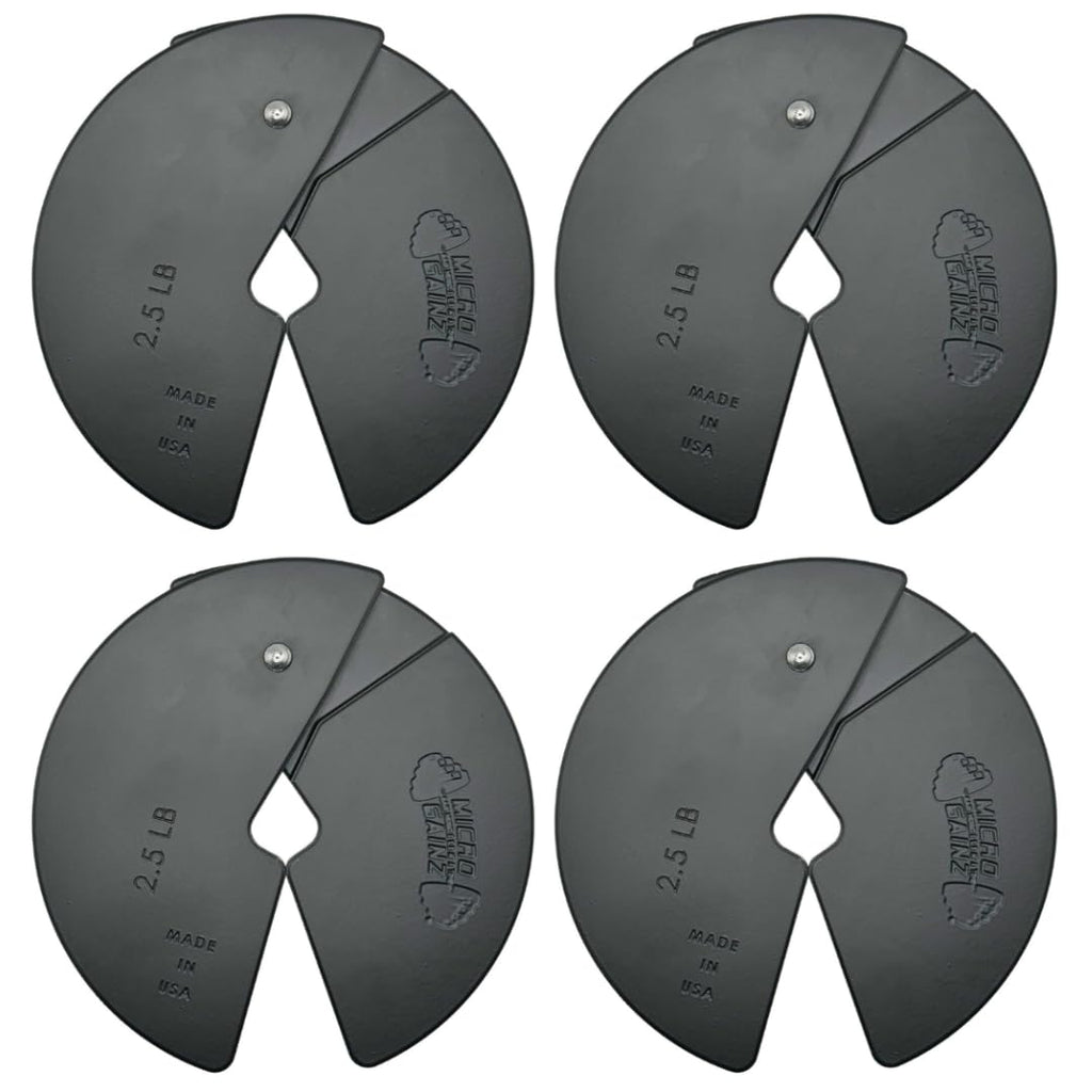 Micro Gainz Dumbbell Fractional 2.5 Lb Weight Plate, Ideal For Micro Loading, Choose 2 Or 4 Piece Fractional Weight Plates, Desi