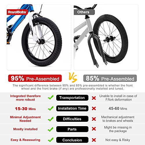 Royalbaby Swan Girls Princess Kids Bike With Basket Mudguards, 12 14 16 18 Inch Toddler Beginners Bicycle For Age 3-10 Years, Tr