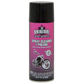 Original Bike Spirits Cleaner And Polish 14 Ounce 1039615 (Pack Of 2)