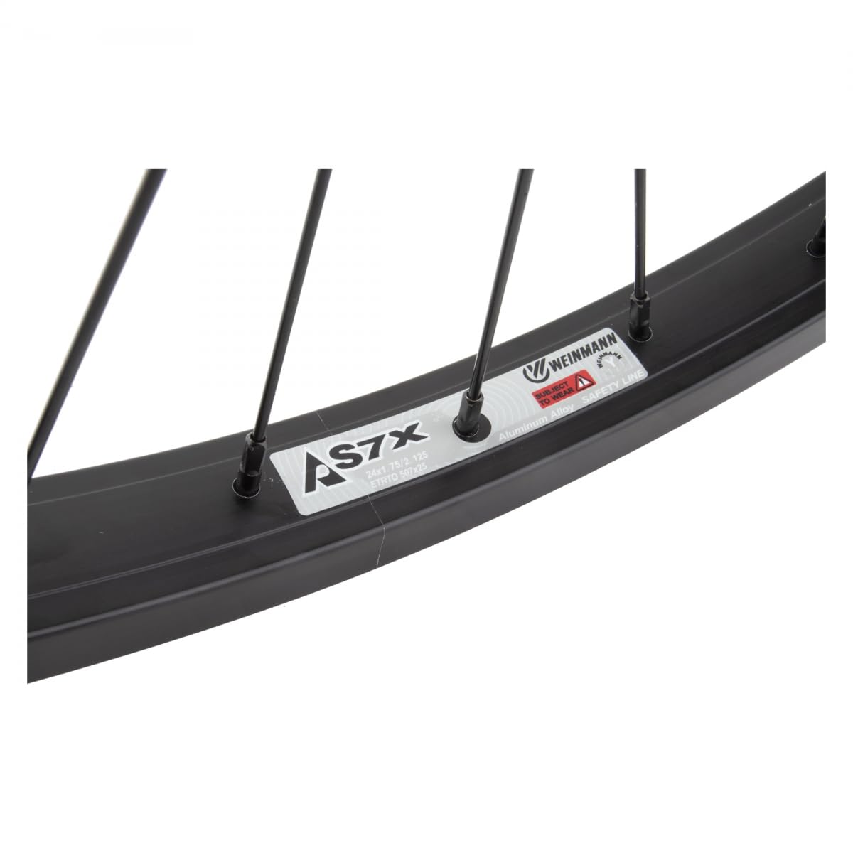 Wheel Master 24'' Cruiser/Comfort Rear Wheel - Weinmann As7X Rim, 36H, Coaster Hub, Black