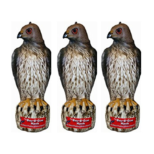 Bird B Gone Mmrth1 Hawk Decoy Bird Deterrent
