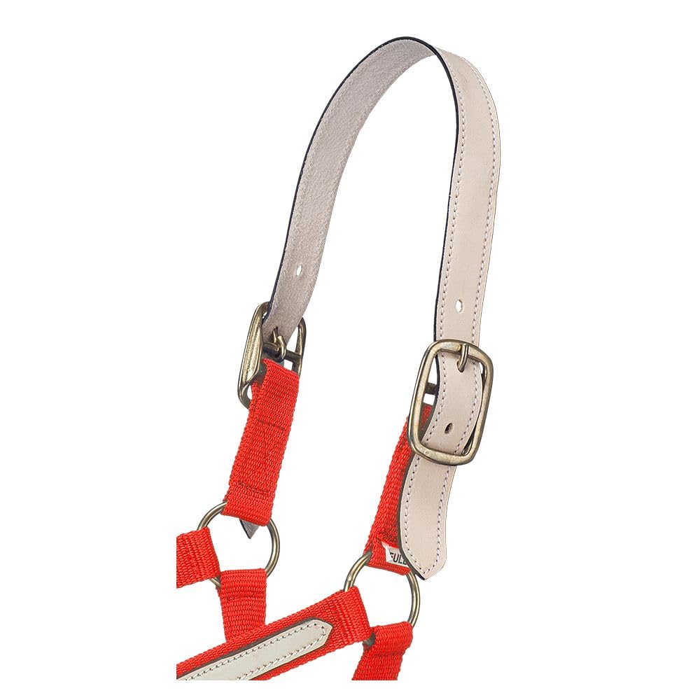 Tough 1 Double-Ply Leather Crown Replacement Straps, Horse