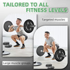 Fitvids Olympic Cast Iron 2-Inch Weight Plate for Strength Training & Weightlifting, Multiple Weights Available, 45LB (Pair)
