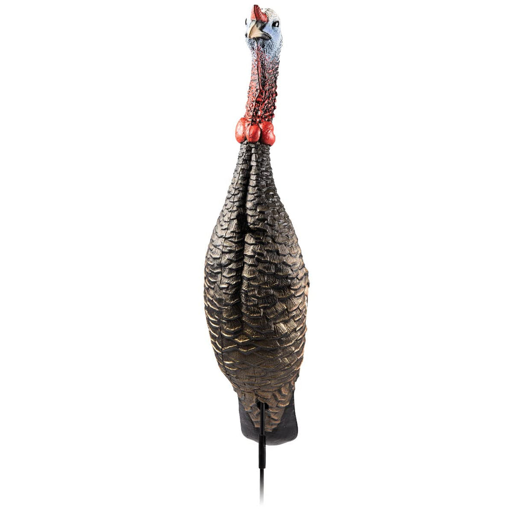 Flextone Hunting Lightweight Ultra Realistic Lifelike One Piece Outdoor Submissive Funky Chicken Turkey Decoy, Gen Ii