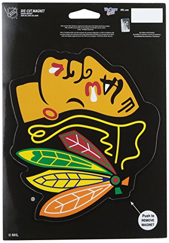 Chicago Blackhawks Magnet 6.25X9 Die Cut Logo Design - Special Order