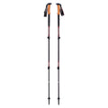 BLACK DIAMOND Womens Trail Cork Trekking Poles (Pair) | Lightweight Collapsible Aluminum Hiking Poles | Natural Cork Grips | Fl