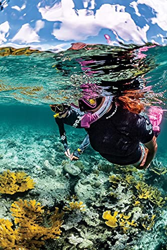 Scubapro Spectra Snorkel (Black/Silver)