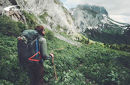 Forest Pilot Big Ball Head Twisted Style Wooden Walking Stick For Hiking With Compass (Nature Color, 48 Inches, One Piece)