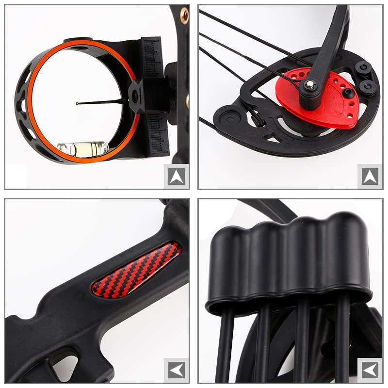 Lanneret Compound Bow And Archery Sets - Right Hand Archery Compound Bows 15-29 Lbs Draw Weight Adjustable For Youth And Beginne