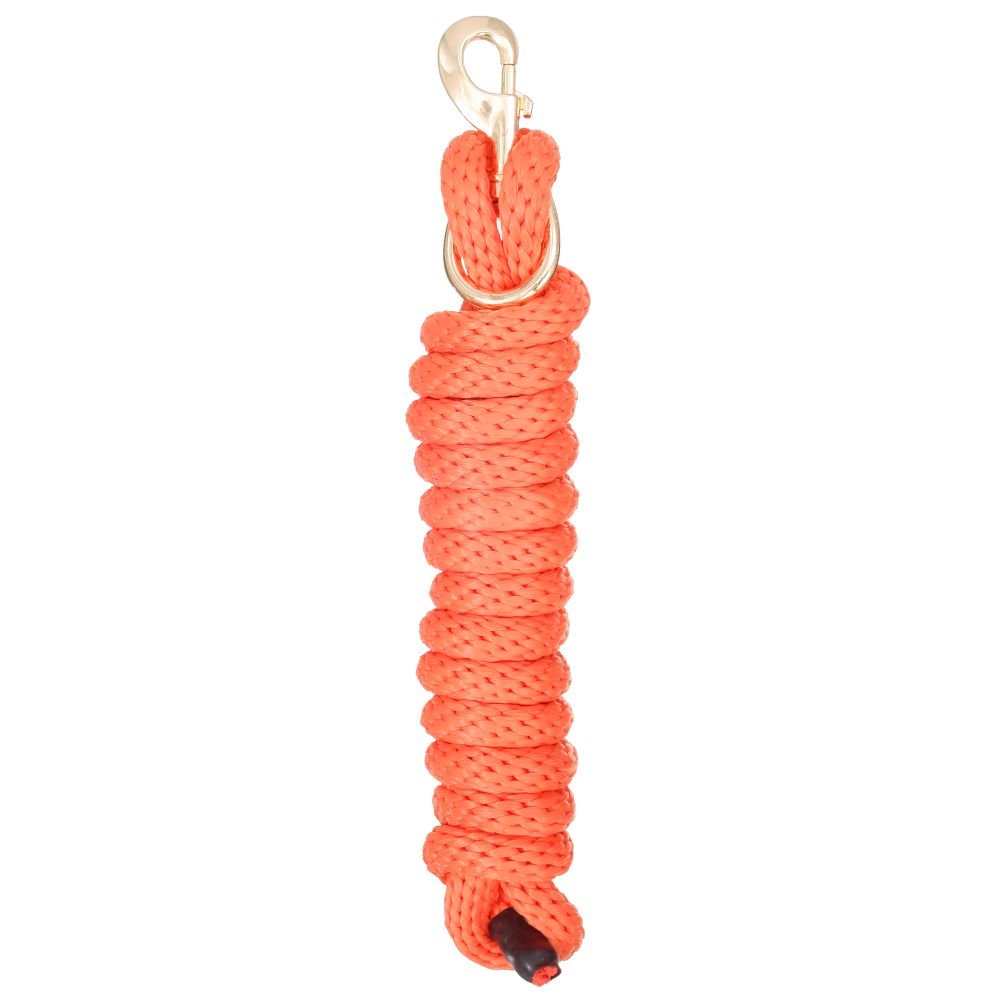 Tough 1 Poly Lead With Replaceable Bolt Snap, Pack - Traditional, 8 1/2Ft