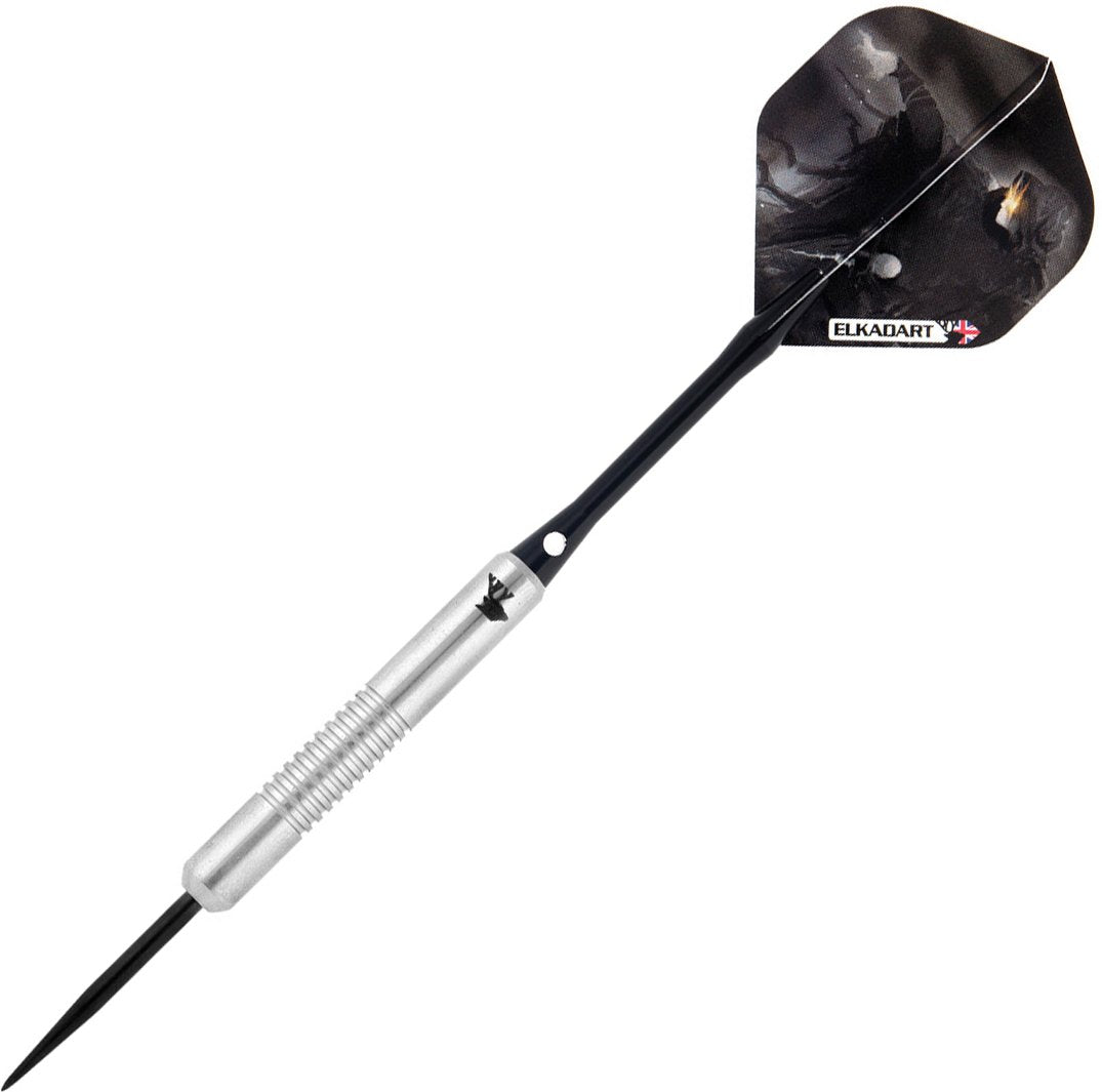 Elkadart Wizard 80% Tungsten Steel Tip Darts With Storage/Travel Case, 20 Grams,Silver