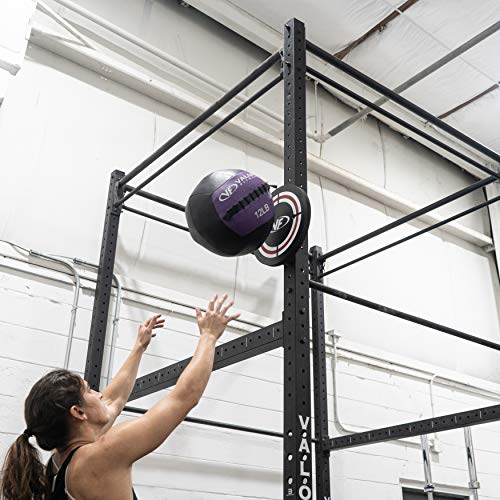 Valor Fitness Wall Balls - Weighted Medicine Workout Ball For Exercise Balance And Strength Training- Home Gym Equipment - 12 Lb