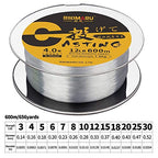 Rikimaru Monofilament Fishing Line (Clear, 20Lb-660Yds)