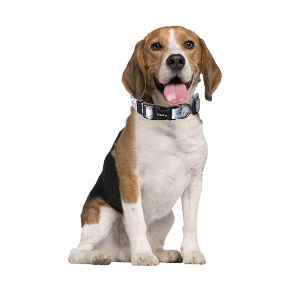 Ihoming Dog Collar And Leash Set For Daily Outdoor Walking Running Training, Floral Sky Design For Small Boys Girls Dogs Cats Pe