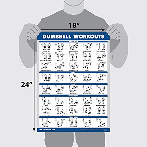 Palace Learning Quickfit Dumbbell Workouts And Kettlebell Exercise Poster Set - Laminated 2 Chart Set - Dumbbell Exercise Routin