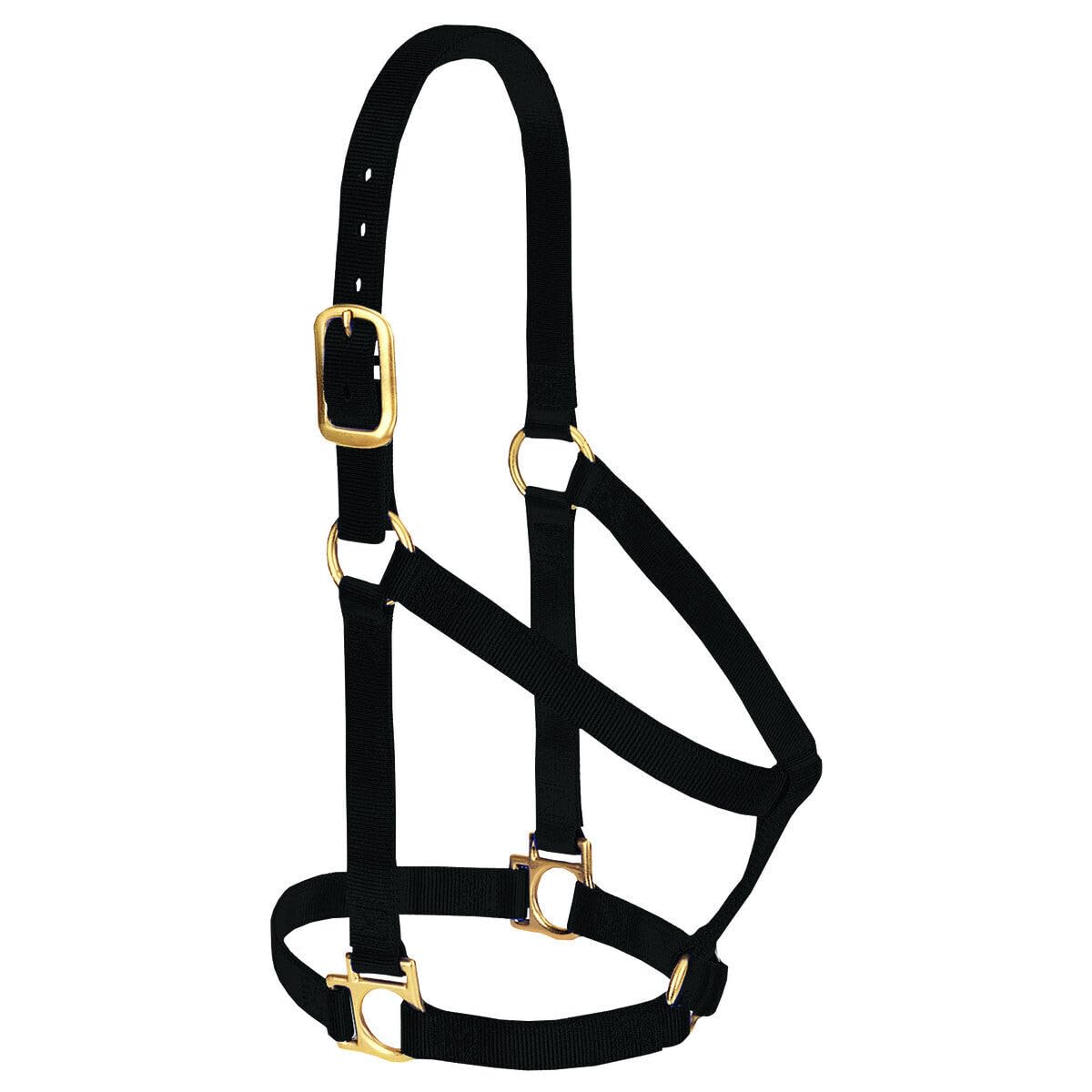 Weaver Leather Basic Non-Adjustable Nylon Horse Halter, Black, 1 Large Horse