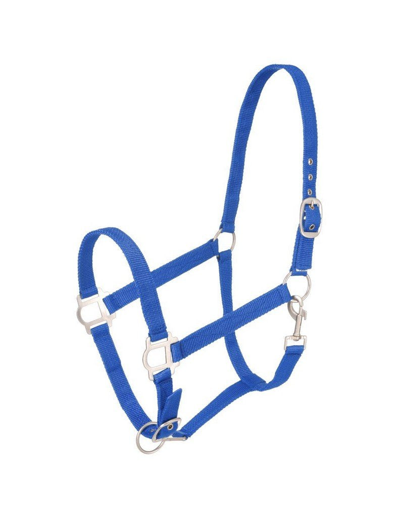 Tough 1 Nylon Halter with Satin Hardware, Blue/Royal, Horse