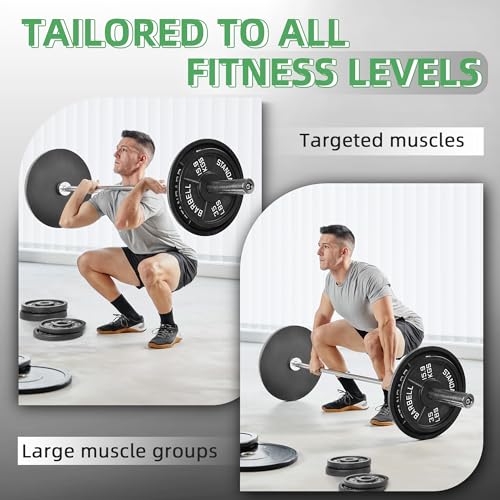 Fitvids Olympic Cast Iron 2-Inch Weight Plate for Strength Training & Weightlifting, Multiple Weights Available, 10LB (Set of 4)