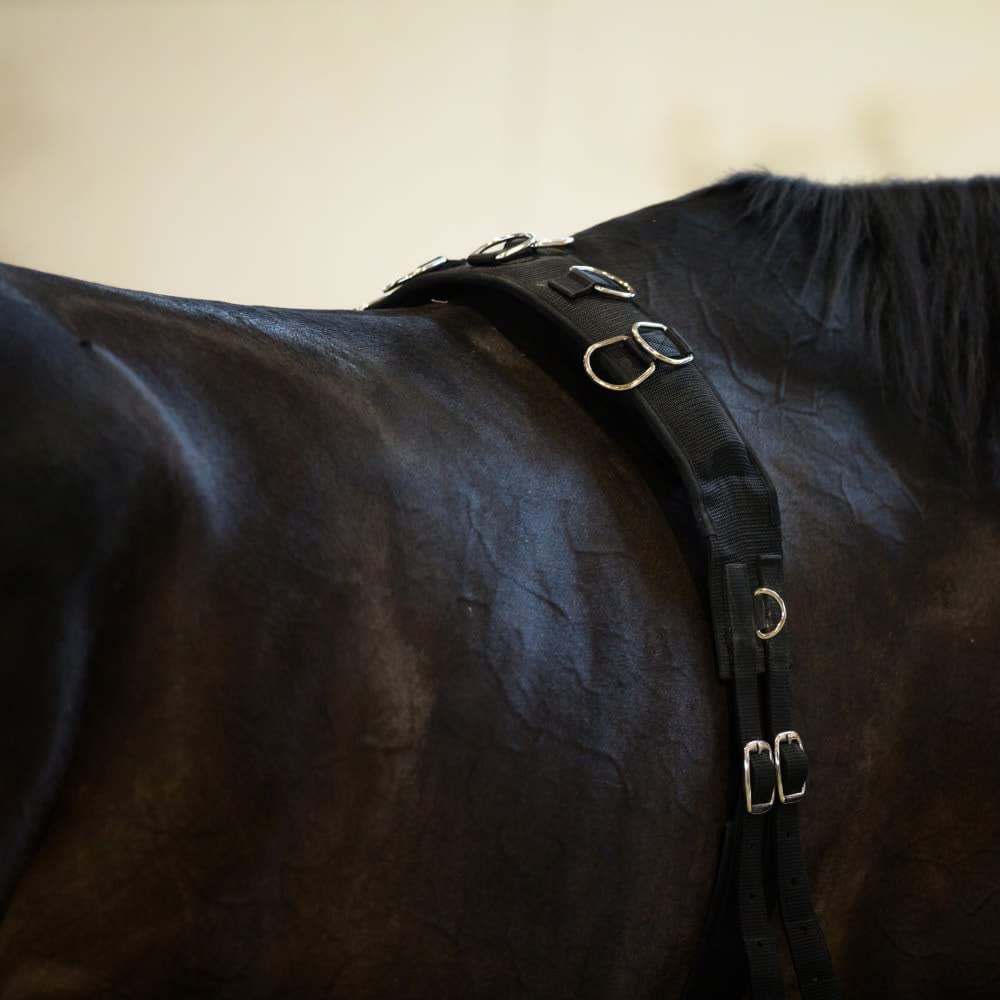 Horze Lunging Surcingle For Horses  Nylon Roller For Training - Black - Horse
