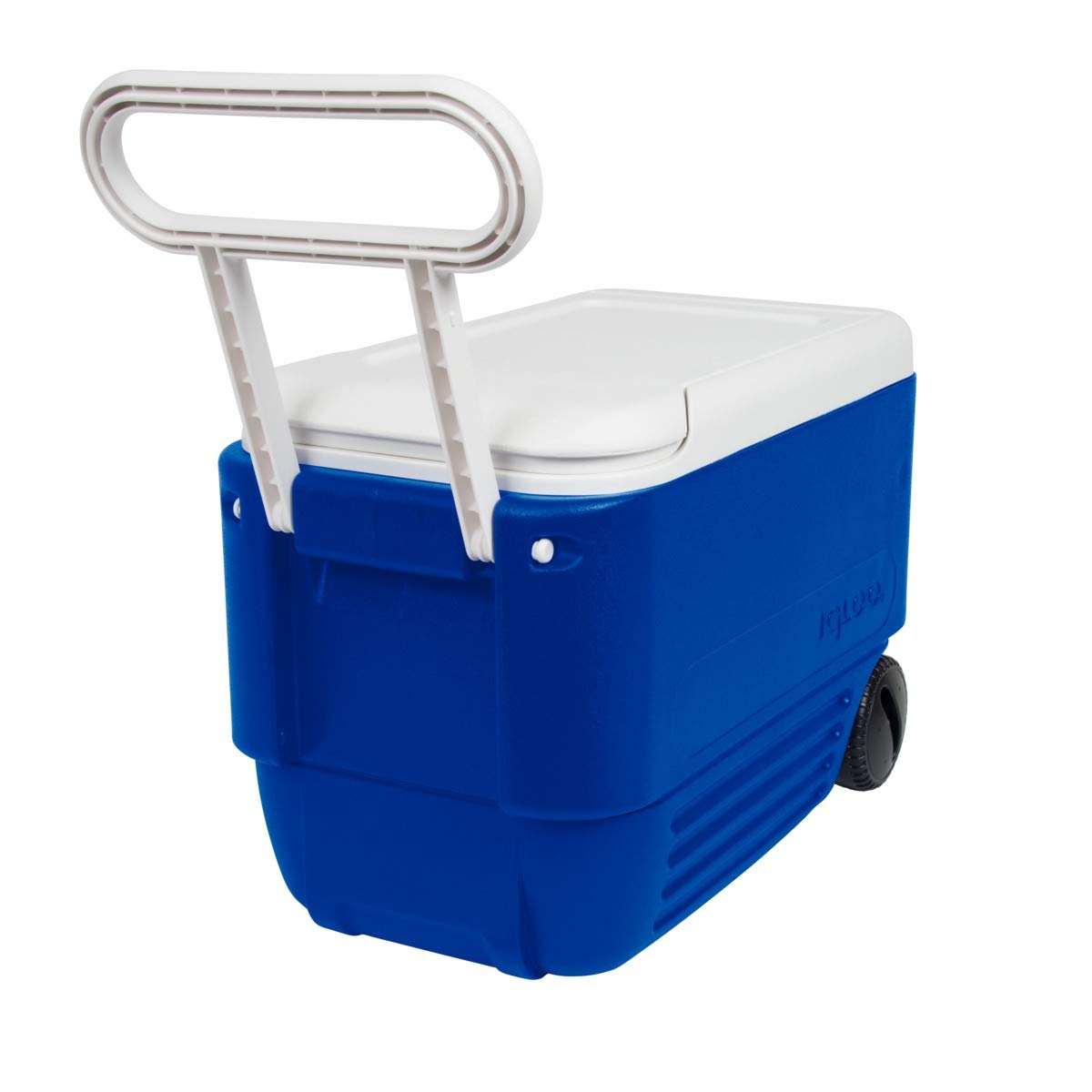 Igloo 38 Quart Wheelie Cooler,Blue (22.875? X 12.875? X 15.875?)
